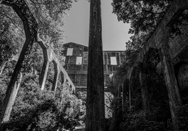 Simon Raine, Abandoned Wool Factory I (Framed)