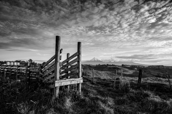 Simon Raine, Pastoral View Towards Mt Taranaki