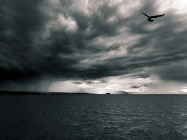 Simon Raine, Storm Brewing at Lake Taupo, 2018